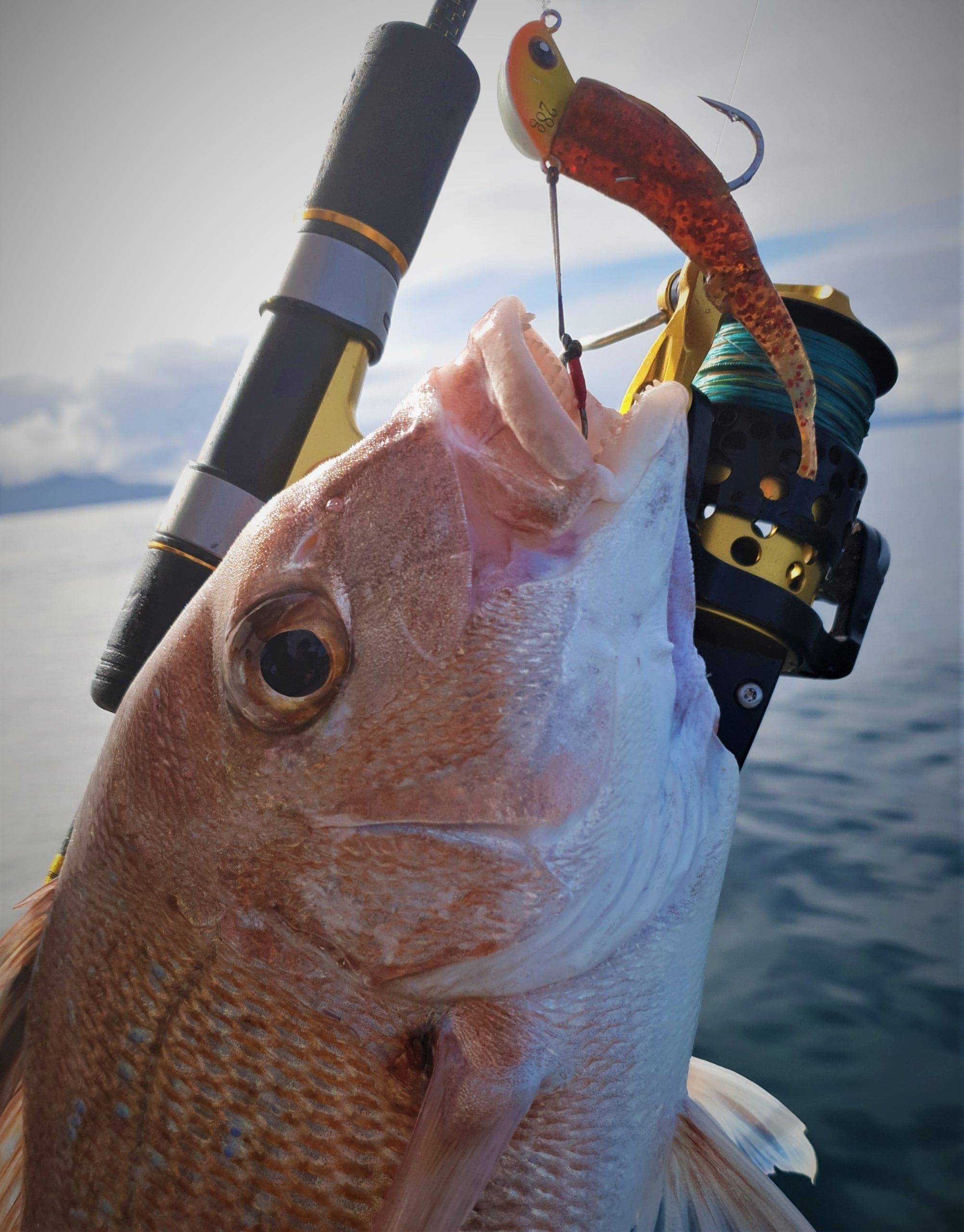 Catch Stingaz Tenya Jig Heads with Gripper 28g - Action Outdoors Kiwi