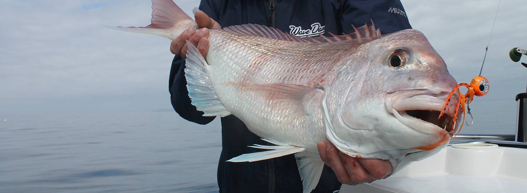 Catch General 80g Catch Freestyle Kabura Chartreuse