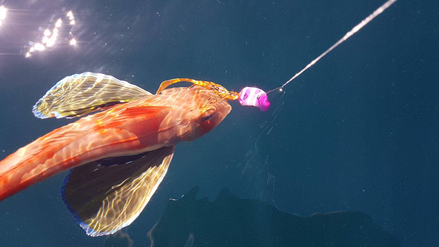 Catch General 80g Catch Freestyle Kabura Chartreuse