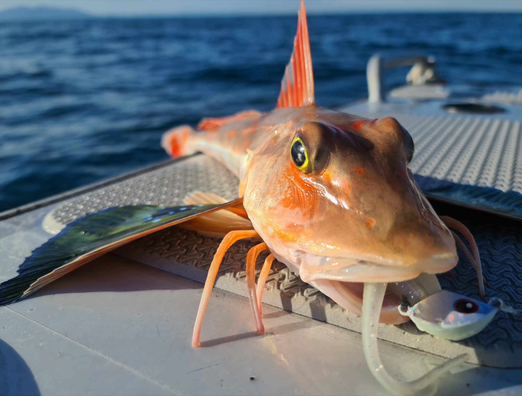Catch Jig Heads Catch Stingaz Tenya Jig Heads with Gripper 28g