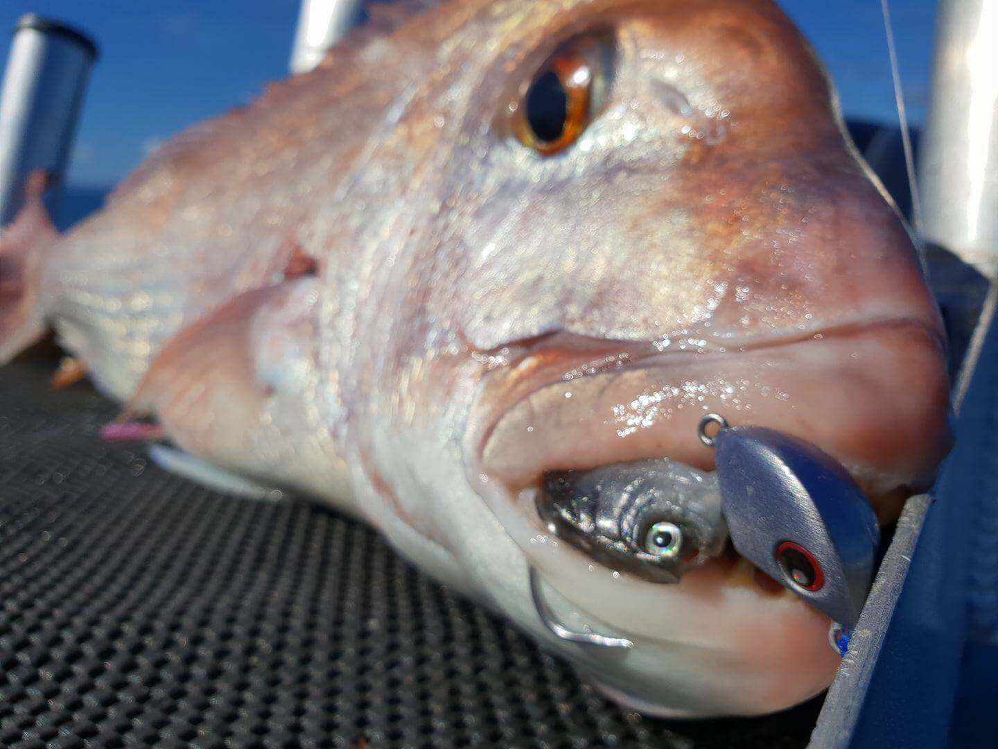 Catch Jighead Catch Stingaz Elevator Jighead 5/0 - 2pk 56g