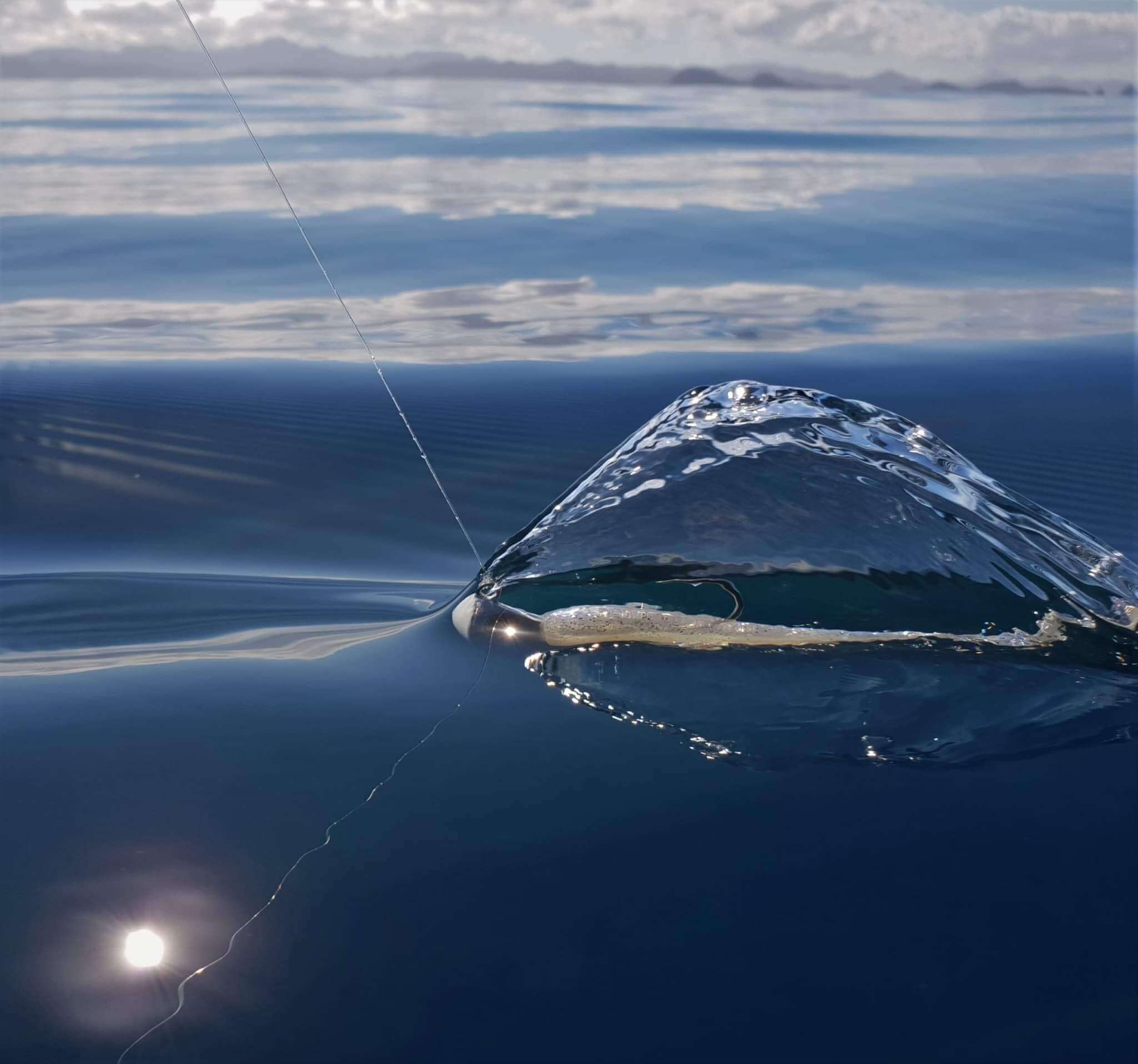 Catch Jighead Catch Stingaz Elevator Jighead 5/0 - 2pk 56g