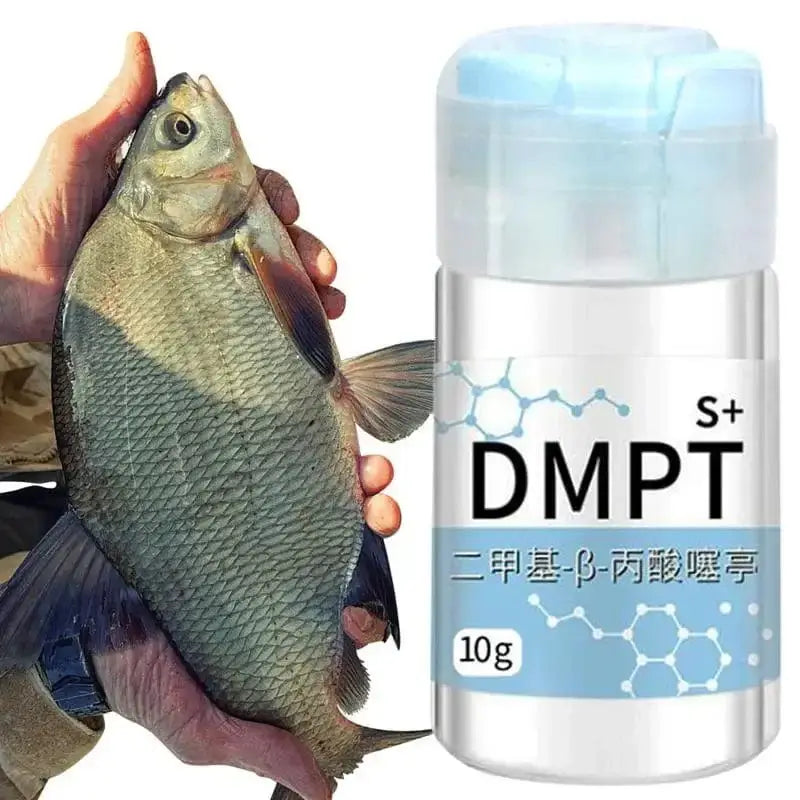 China Action Fishing Nets CHINA DMPT fish Attractant fish bait Irresistible Scent Gel for fishing crucian carp Water-Soluble bait Fishing Accessories Enhancer