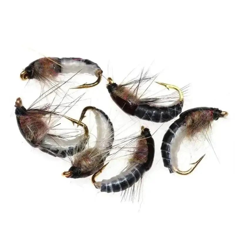 China China 6pcs 6PCSTrout Fishing Realistic Nymph Scud Fly Nymphing Artificial Insect Baits Flying Lure Fishing Accessories