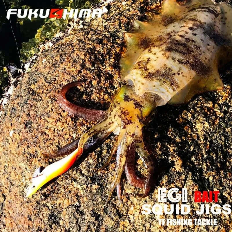 China China FUKUSHIMA 2-3.5 SQUID JIGS EGI LURE FISHING WOOD SHRIMP BAIT CUTTLEFISH OCTOPS GLOW TAIL SHARP HOOKS 21GRAM ROCK & BOAT FISHING