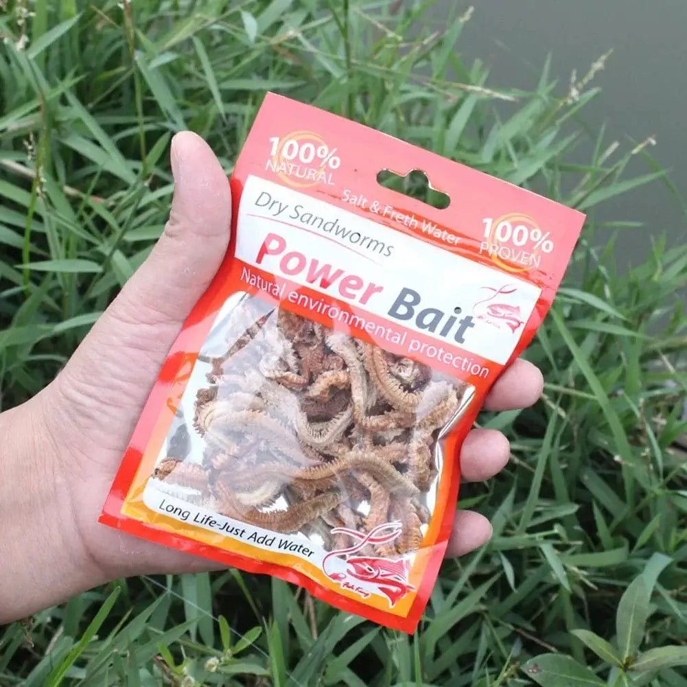 China China Lifelike Dry Lugworm Sandworms Fishing Lures Saltwater Freshwater Feeder Sea Fishing Worms Smell Soft Artificial Bait Accessorie