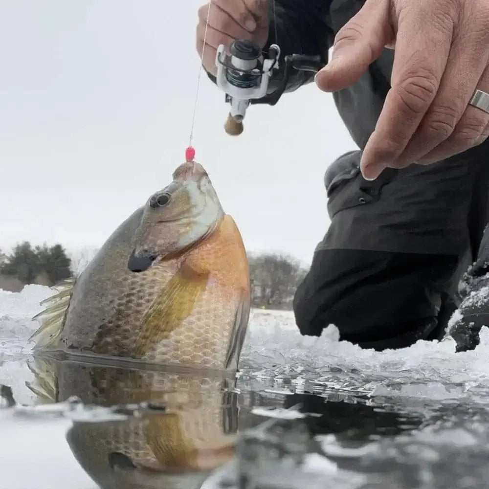 MUUNN 5PCS Tungsten Ice Jigs Hayabusa Hook,2.7mm-6mm UV Glow Colorful Winter Fishing Hooks,Perch Crappie Bluegill Lure Tackel, - Action Outdoors Kiwi