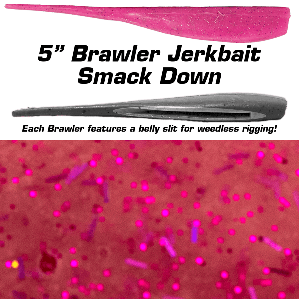 Fishbites Soft Bait Fishbite 5 Inch Brawler Jerkbait - Smack Down