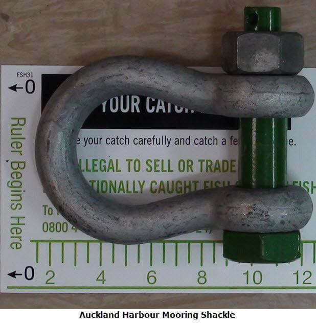 HES NZ LTD G70 & G80 Chain Accessories 19mm Hi-Load Safety Bow Shackle Green Pin
