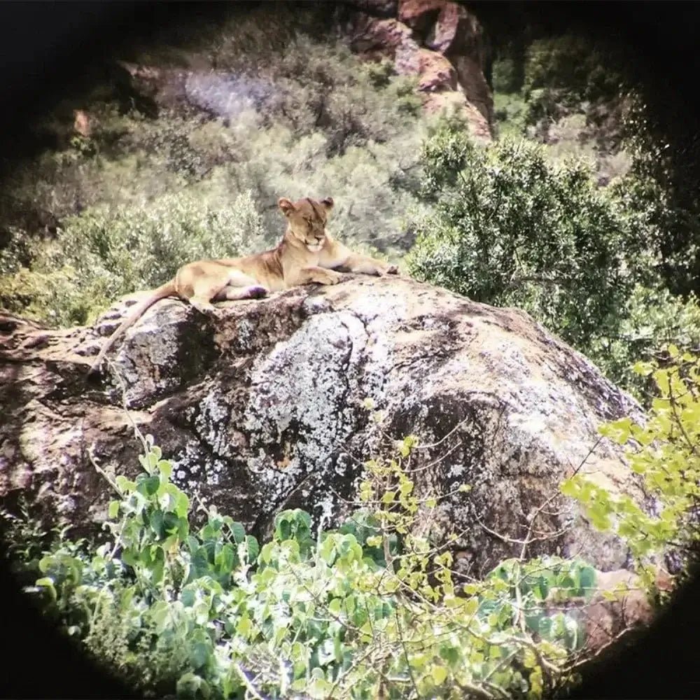 China China High list binoculars Portable high list binoculars are suitable for outdoor camping, hunting, traveling and durable ABS material