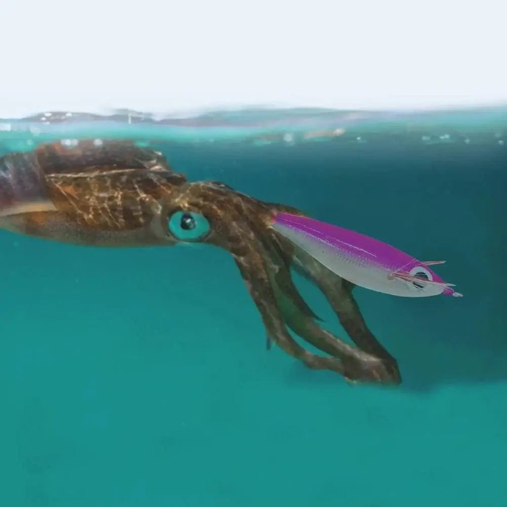 China China Luminous Fishing Lures 10cm 10g Squid Fishing Bait Fluorescent Grow in The Dark Simulation Saltwater Fishing Accessories