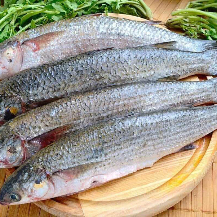 Fresh mullet fish arranged on a wooden platter, showcasing the quality for mullet drag nets 85mm mesh.