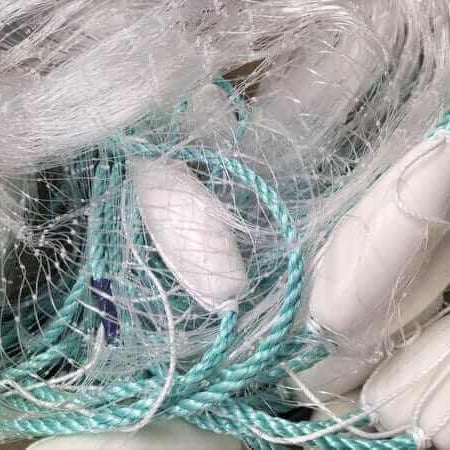 Casting Bait Net Guide: Expert Tips and Techniques for 2026
