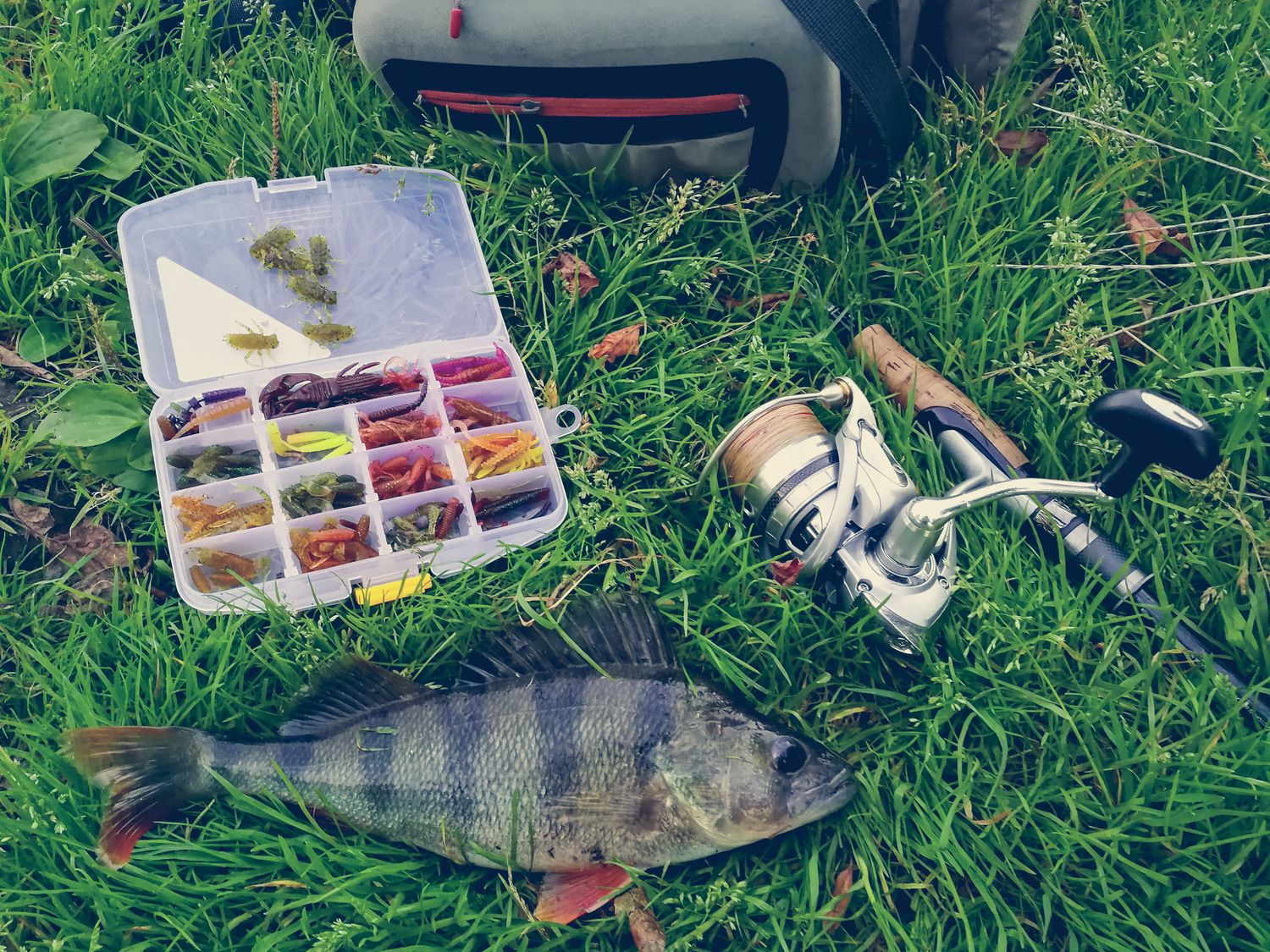 Hunting & Fishing Gear in New Zealand