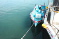 The 20m 30m 40m Set Net Buoy-Anchor Combo on a fishing boat in calm waters.