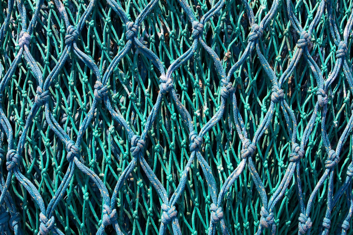 500gram Spool 1.5mm White Nylon Flat Braid detailed view of knots and braids in green tone.