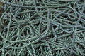 4mm Braided Lead Core Rope improves Heavy-Duty Applications, showcasing the durable and versatile rope design.