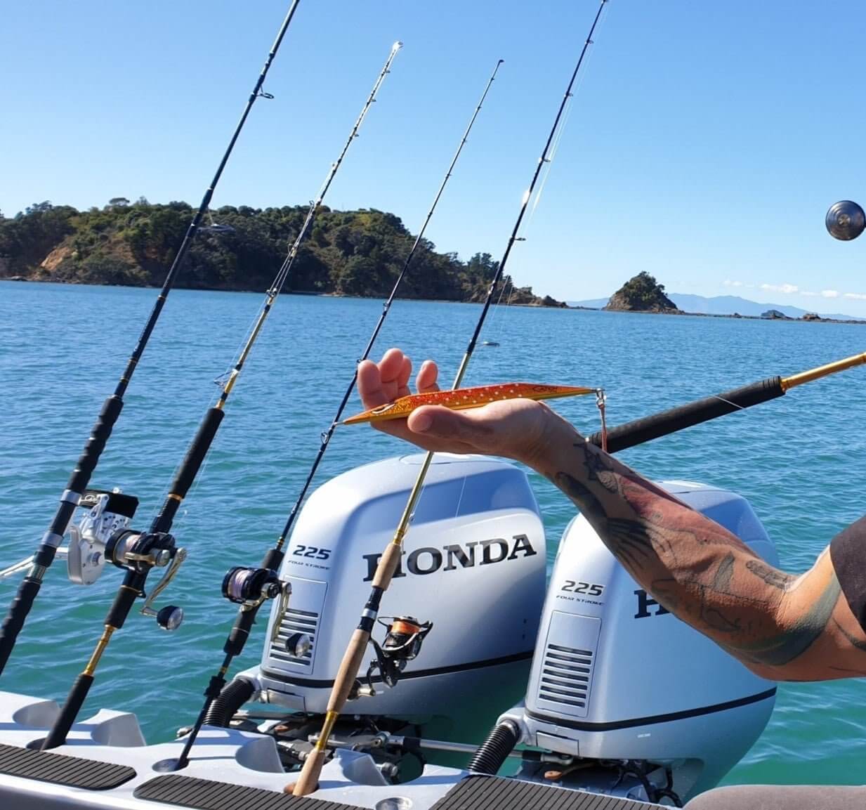Person holding a fish while fishing on a boat with Honda motors in a scenic water setting - New Week New Stock