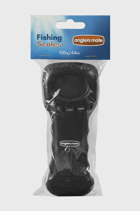 Expert Tips for 2026 for Anglers