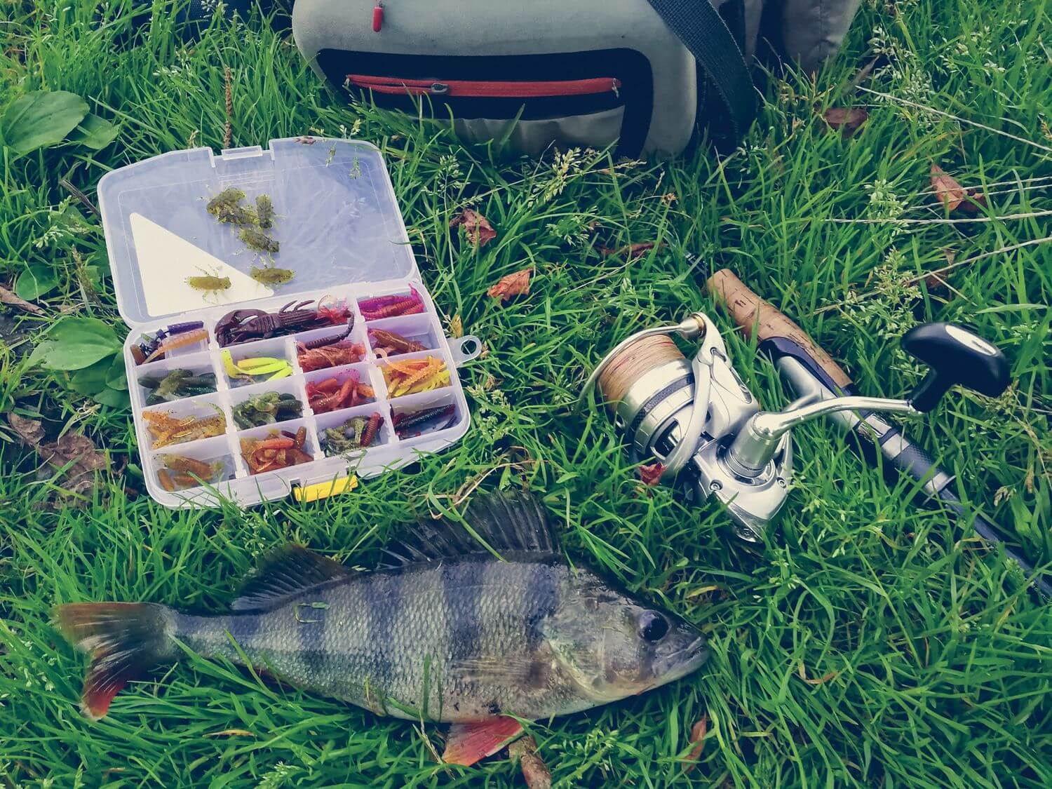 Hunting & Fishing Gear in New Zealand with a catch and tackle box on grass.