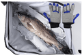 Gear Up with Our Latest High-Performance Equipment featuring gloves and a fresh fish on ice.