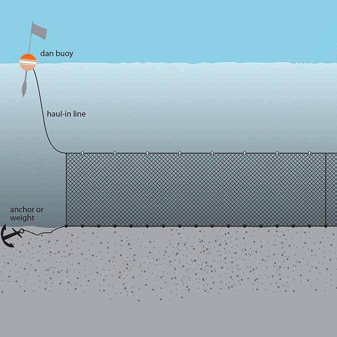How to Select Your Fishing Nets In NZ 01-09-2025