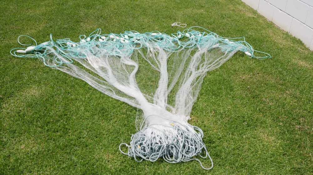 Enhance Your Fishing Success With 2.5 Inch Herring Bait Nets spread out on green grass.