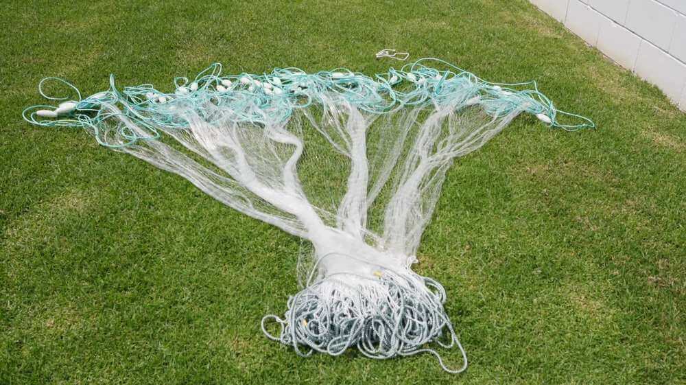 Optimizing Your Fishing Strategy with Herring Bait Nets Size Matters