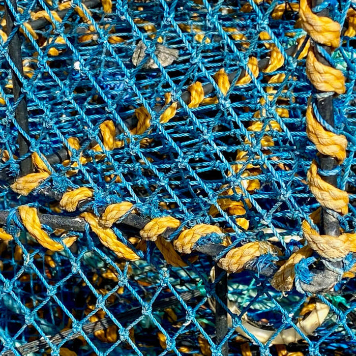 close-up of a 4mm braided lead core rope interwoven with blue and yellow strands, showcasing its durability and texture