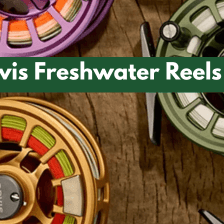 Freshwater Fishing Equipment Guide: Expert Insights for 2026