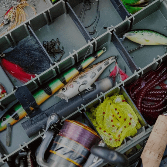 Ultimate Guide to Bottom Fishing Gear for 2026 Success