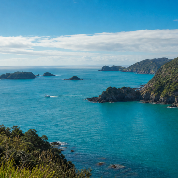 Bay of Islands coastline with islands and a small fishing boat