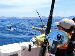 9 Essential Deep Water Fishing Gear Picks for 2025