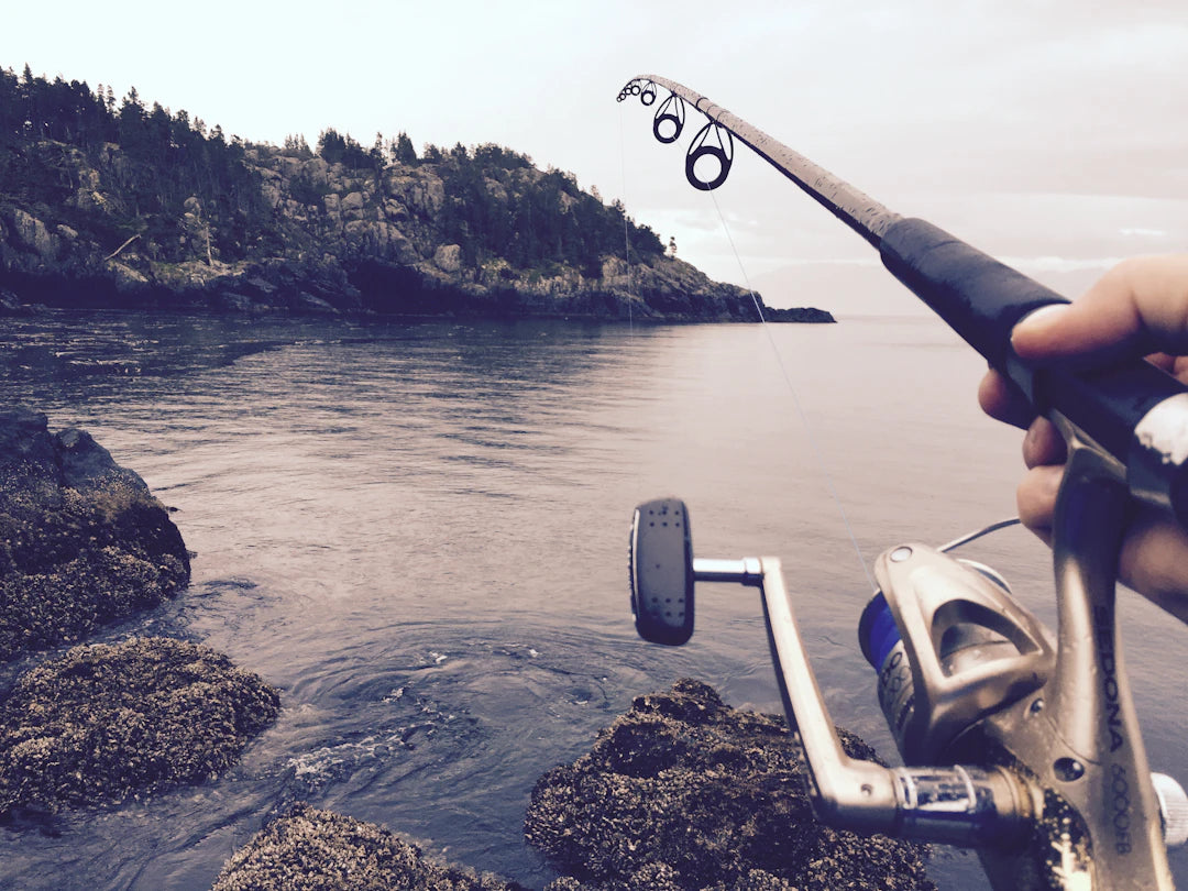 Essential Portable Gear for Fishing Adventures