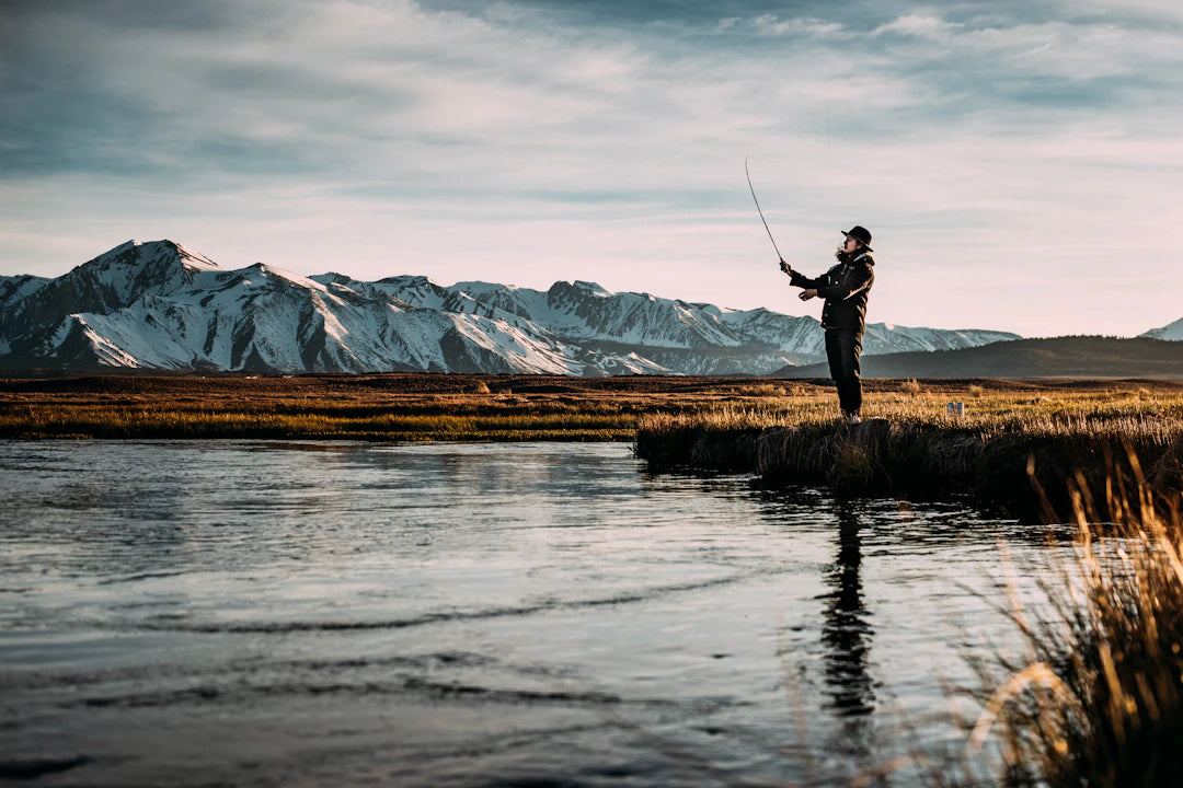 Fishing Seasons When to Catch Different Species