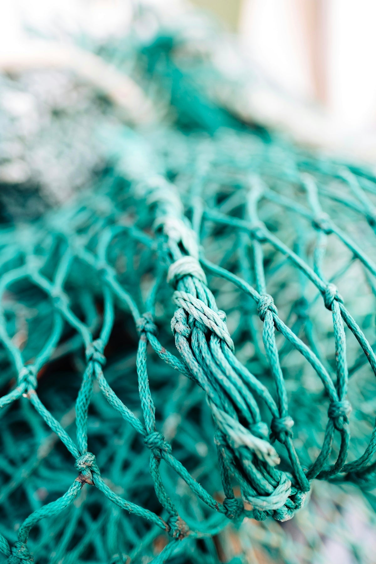 Fishing with 1.7mm x 1000 Alum Single Sleeve Crimps detailed view of fishing net material.