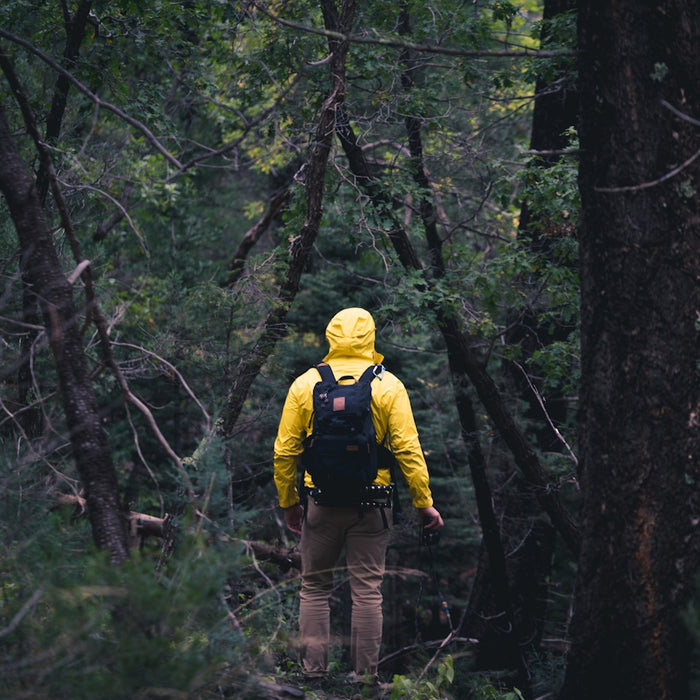 person walking on forest