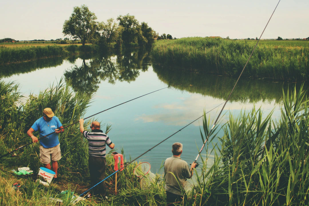The Importance of Sustainable Fishing Practices