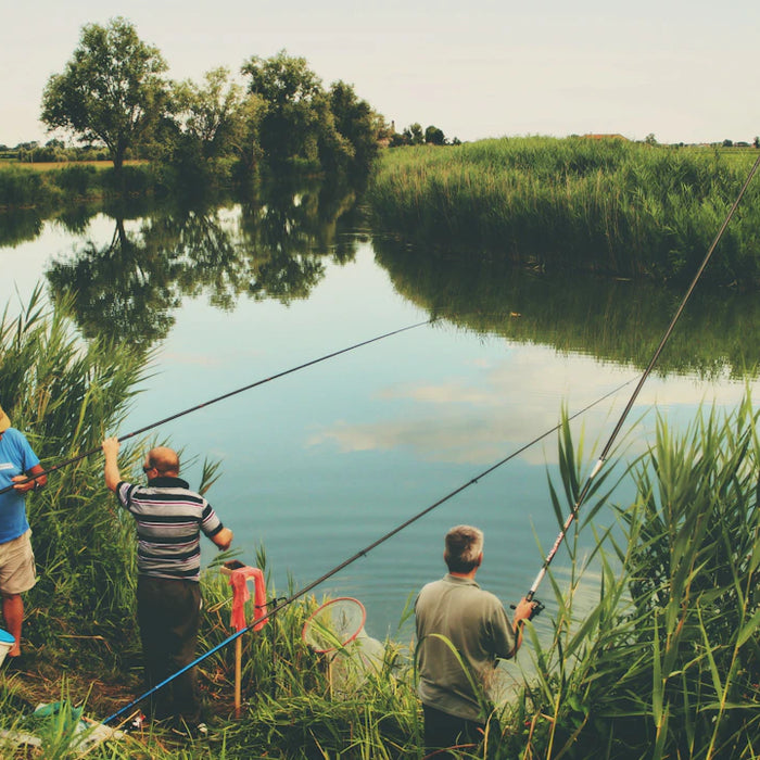 The Importance of Sustainable Fishing Practices