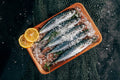 Cooking Your Catch Tasty Recipes for Fresh Fish