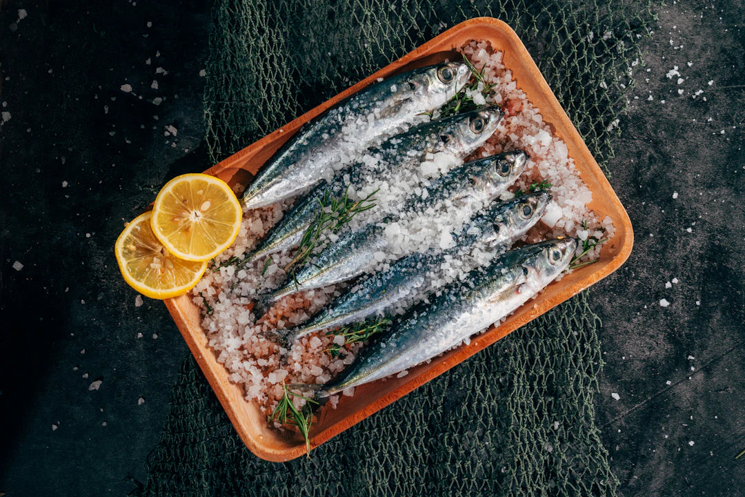 Cooking Your Catch Tasty Recipes for Fresh Fish