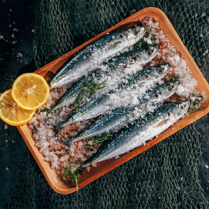 Cooking Your Catch Tasty Recipes for Fresh Fish