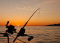 Understanding Freshwater vs. Saltwater Fishing