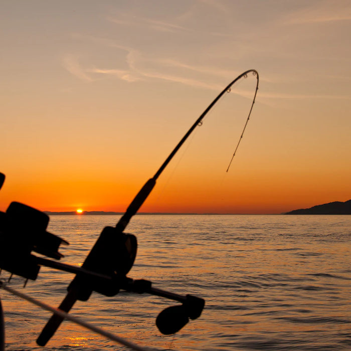 Plan Your Seasonal Fishing Trips for Success All Year