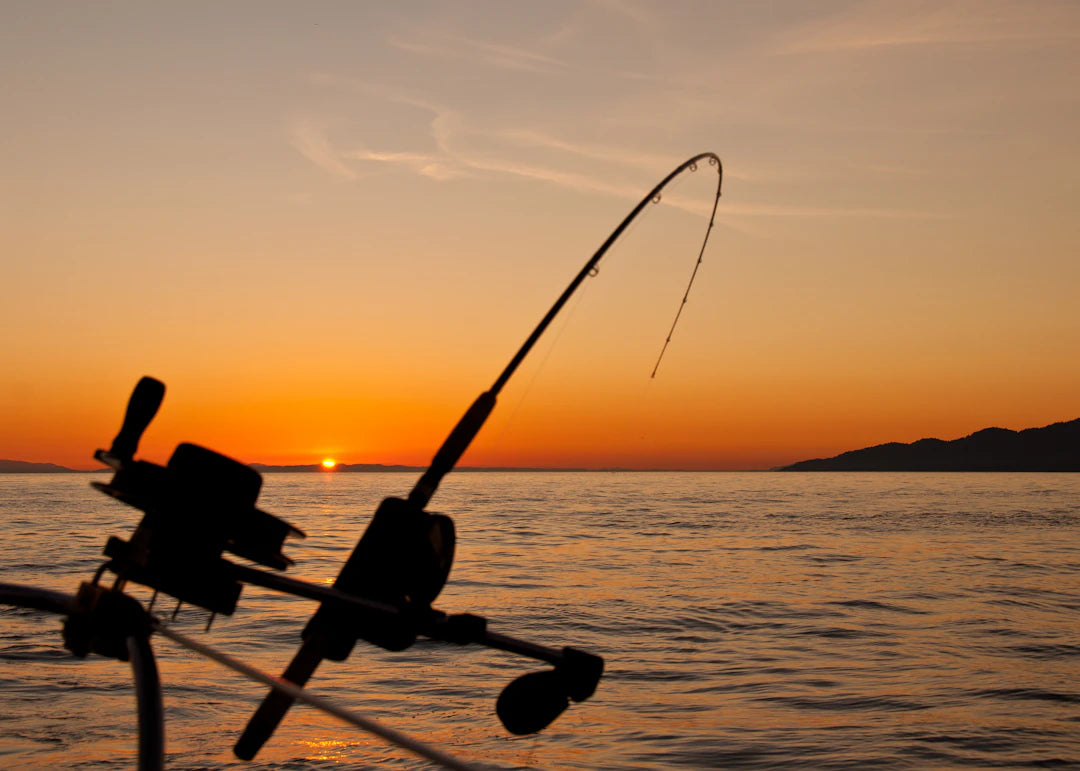 How to Plan the Perfect Fishing Trip