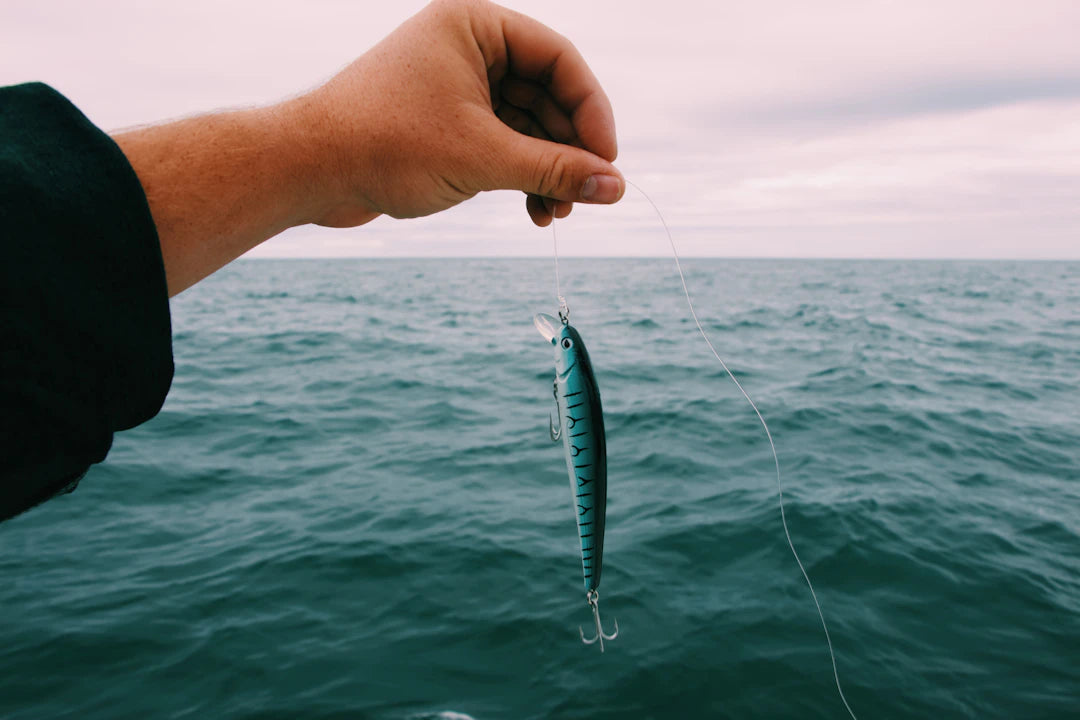 A Beginner's Guide to Bait Live vs. Artificial