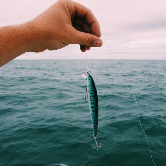 A Beginner's Guide to Bait Live vs. Artificial
