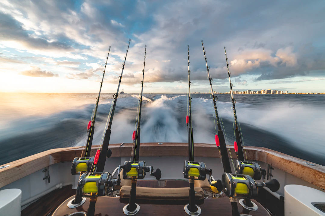 The Future of Fishing Trends and Innovations to Watch