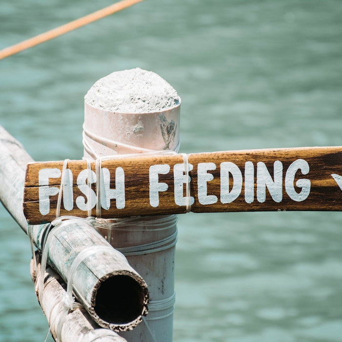 fish feeding signage