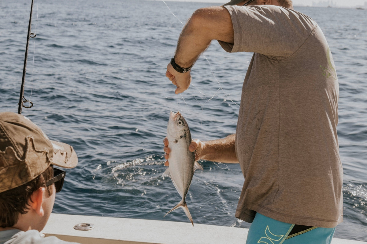 person holding gray and white fish on boat
